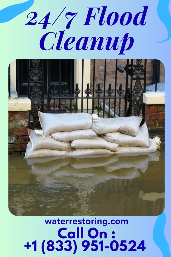 24/7 Flood Cleanup in Salt Creek Commons, IN